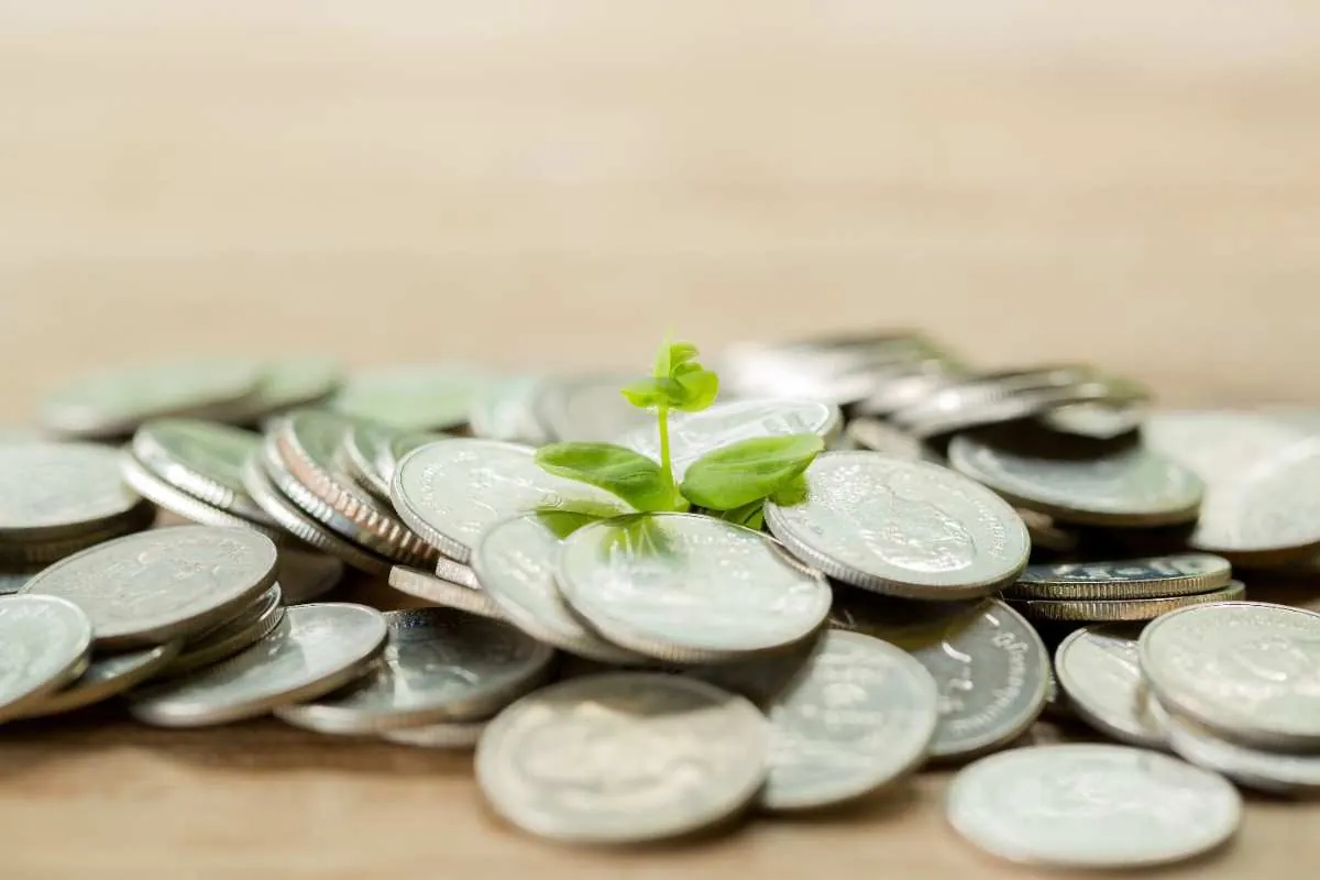 Understanding Risk and Return in Financial Investments
